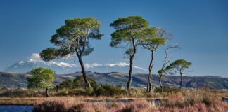 “Wanderlust in Albania 2”, Rama ndan pamje të Lagunës së Karavastasë