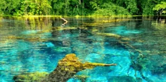 Qeveria miraton formularët e kërkesës për përdorim të burimeve ujore