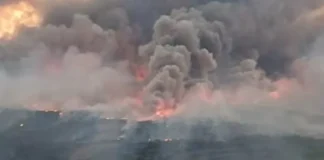 Katalonja përfshihet nga flakët! Zjarre të fuqishme godasin Spanjën, dy persona humbin jetën