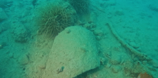 Rama: Parku arkeologjik nënujor i Durrësit, ku çdo amorfë rrëfen