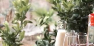 Denaj: Mbështetja agrobujtinave, model zhvillimi ekonomik për komunitetin lokal