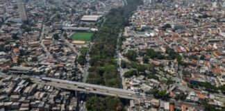 Për dy dekada ka mbjellë mbi 41 mijë pemë në parkun e Sao Paulos, historia domethënëse e Helio da Silvas