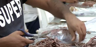 Hapen regjistrimet për arsimin profesional, regjistrimet mund t’i bëni në e-Albania