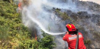 18 vatra zjarri në vend gjatë 24 orëve! Zjarri aktiv në Parkun Kombëtar të Lurës