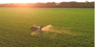 Bie sipërfaqja e shfrytëzuar e tokës bujqësore në Kosovë