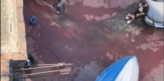 Rama: Pako speciale ligjore për dhunuesit e hapësirave publike, të mos përsëriten situatat