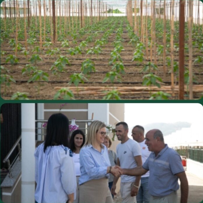 Screenshot_20250731_110015_WhatsApp