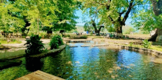 Bysheku, freskia natyrore që po tërheq turistë vendas dhe të huaj në zemër të verës