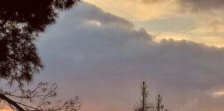 Krasta e misterit dhe frymëmarrjes së qytetit