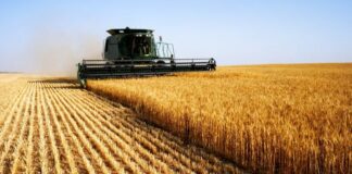 Makineritë bujqësore pa TVSH, hapat për të përfituar nga agrobiznesi