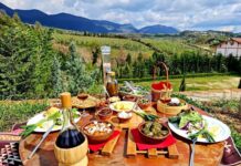 Skema e Investimeve, 50% grant në agroturizëm