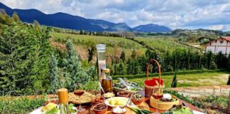 Skema e Investimeve, 50% grant në agroturizëm