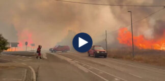 “Kokteji molotov” po përhap zjarret, shkencëtarët ngrenë alarmin: Evropa Jugore mes të nxehtit vdekjeprurës