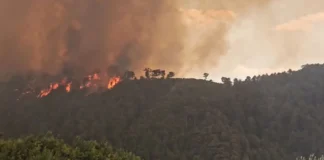Një viktimë, tetë të plagosur! Evakuohen shtatë fshatra, pamje apokaliptike nga Gramshi