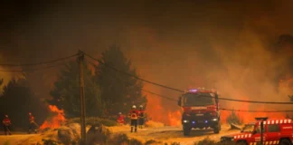 Valë vdekjeprurëse të të nxehtit dhe zjarre shkatërruese në Mesdhe/ Tre të vdekur dhe mijëra të evakuuar