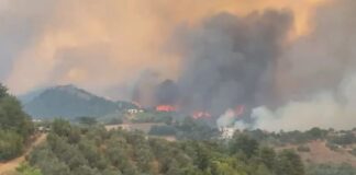 Zjarret në vend/ 46 të arrestuar që prej qershorit, 91 autorë nën hetim