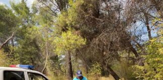 Përditësim mbi masat për parandalimin e zjarreve