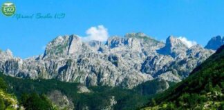 Rama: Lepusha, mrekulli e Alpeve tona