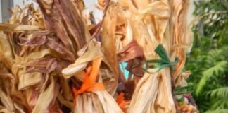 Ngjyra e vjeshtës në duart tona: Misrat dekorativë që ruajnë traditë