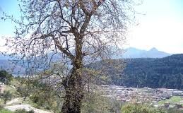 RRAPI I MANSIT – Monument Natyror me Histori të Lashtë