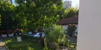 Elbasani gjallërohet nga turistët dhe vizita e fëmijëve të kampit “Dumrea Eko Park”