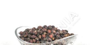 Murrizi – Aleati natyror i zemrës dhe shëndetit kardiovaskular