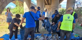 Bashkia Elbasan dhe të rinjtë,bëhen bashkë për një mjedis të gjelbër.