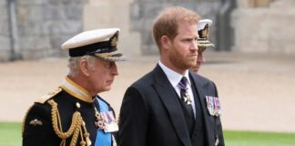 Një çaj, një takim dhe një refuzim/ Çfarë ndodhi mes babë e bir, Mbretit ia bën të qartë Princit Harry: Angazhimet…