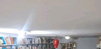 “Tetori i Librit: Fëmijët Zbulojnë Magjinë e Librave në Bibliotekën Qemal Baholli”