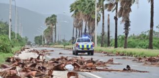 Kuba goditet nga uragani “Melissa”, qindra mijëra të evakuuar, erëra mbi 200 km/orë