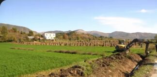 (VIDEO)Puna për pastrimin e kanaleve kulluese në Funar vijon me intensitet – në fokus mbështetja për fermerët