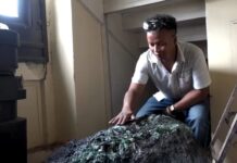 Një gur i çmuar gjigant prej 300 kilogramësh zbulohet… në pallatin presidencial të Madagaskarit