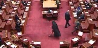 Senatorja e ekstremit të djathtë në Australi shfaqet në parlament e veshur me burka, shkakton zemërim dhe akuza për racizëm
