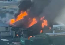 Video/ Periferia e Londrës në flakë, shpërthimi në një depo fishekzjarrësh mbulon zonën me re të zeza tymi