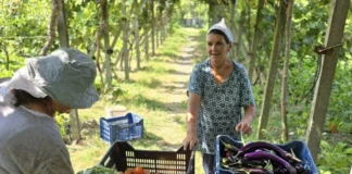 BBC artikull agroturizmit dhe kulinarisë shqiptare, Rama: Recetat tradicionale të gjysheve shqiptare një pikë e fortë