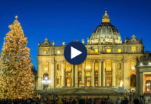 Zyrtarisht në festë, Vatikani vendos Pemën e Krishtlindjeve, dhuratë nga Bolzano