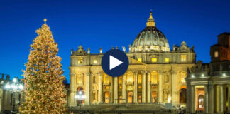 Zyrtarisht në festë, Vatikani vendos Pemën e Krishtlindjeve, dhuratë nga Bolzano