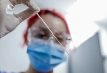 Gripi i shpendëve, ekspertët e shëndetit të shqetësuar: Mund të sjellë një pandemi më të keqe se koronavirusi