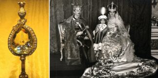 Thesari legjendar i Habsburgëve gjendet në Kanada, del në dritë diamanti 137 karatësh
