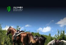 Magjia e Festave zbarkon në Gjinar – Më 13 Dhjetor mbahet “Gjinar Village Market”