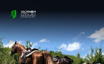 Magjia e Festave zbarkon në Gjinar – Më 13 Dhjetor mbahet “Gjinar Village Market”