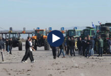 “Ku janë fondet e BE?”/ Përleshje mes fermerëve grekë dhe policisë