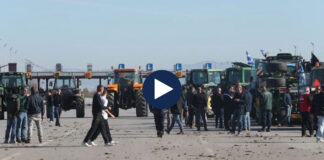 “Ku janë fondet e BE?”/ Përleshje mes fermerëve grekë dhe policisë