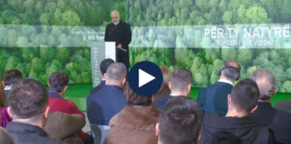 “Zonat e mbrojtura ishin nën agresion, moratoriumi për pyjet funksionoi”, Rama: Do ristrukturojmë Agjencinë, pyllëzim me dron