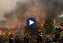 Europa zjarre rekord gjatë vitit 2025, ekspertët: Diçka nuk është në rregull!