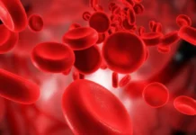 Ja se çfarë duhet të konsumoni për qarkullimin e gjakut