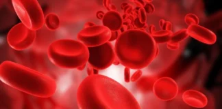 Ja se çfarë duhet të konsumoni për qarkullimin e gjakut
