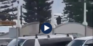 VIDEO/ Sulmi terrorist në festën hebraike në Sydney, shkon në 12 numri i të vdekurve