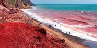 Deti bëhet i kuq në një ishull iranian, ja çfarë thonë ekspertët për fenomenin