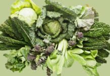 Për trurin, zemrën dhe kockat kjo është vitamina që duhet të konsumoni